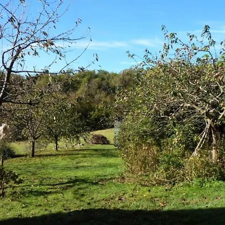 Normandy Countryside