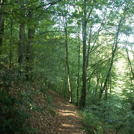Normandy Countryside Casa vacanze Montaigu-les-Bois