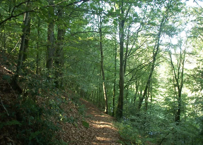 Normandy Countryside Prázdninový dům Montaigu-les-Bois
